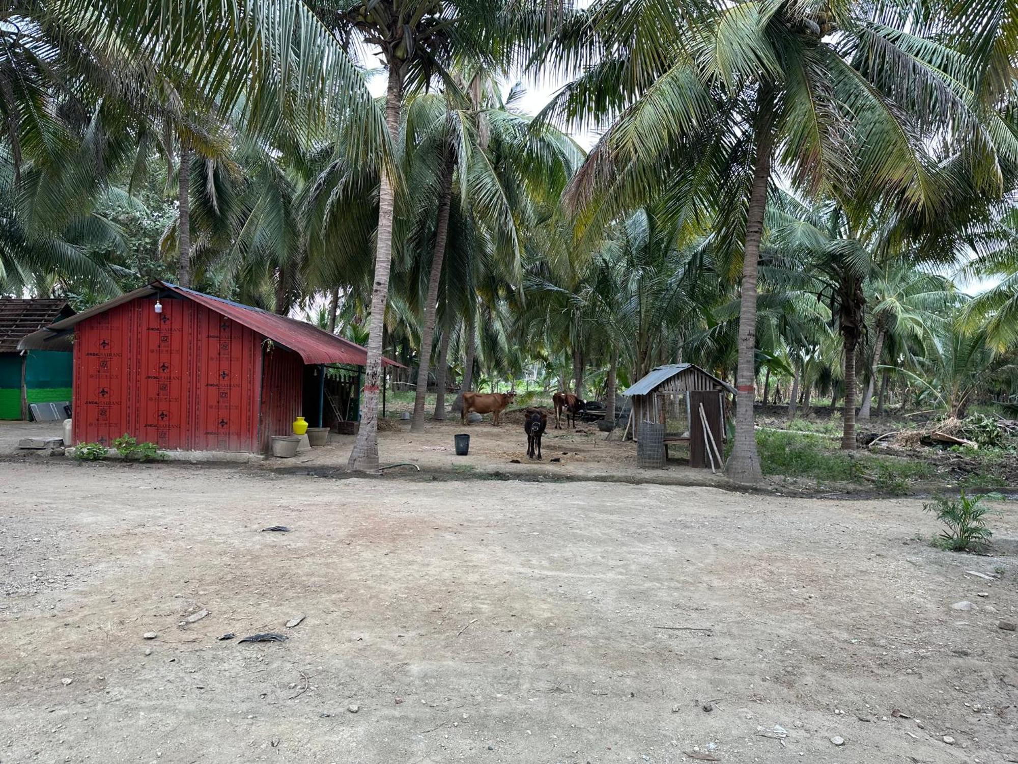 Sakthi Garden Home Stay Erode Exterior foto